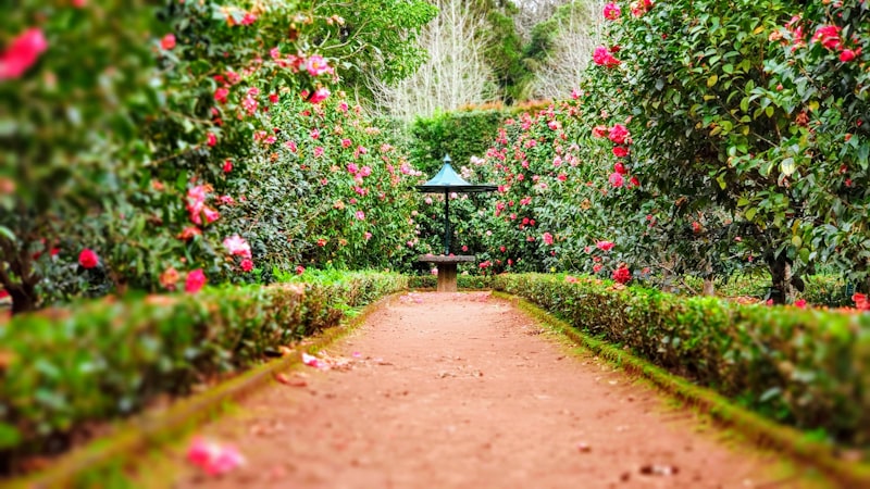 Beautiful garden planting detail