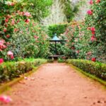 Landscape Design